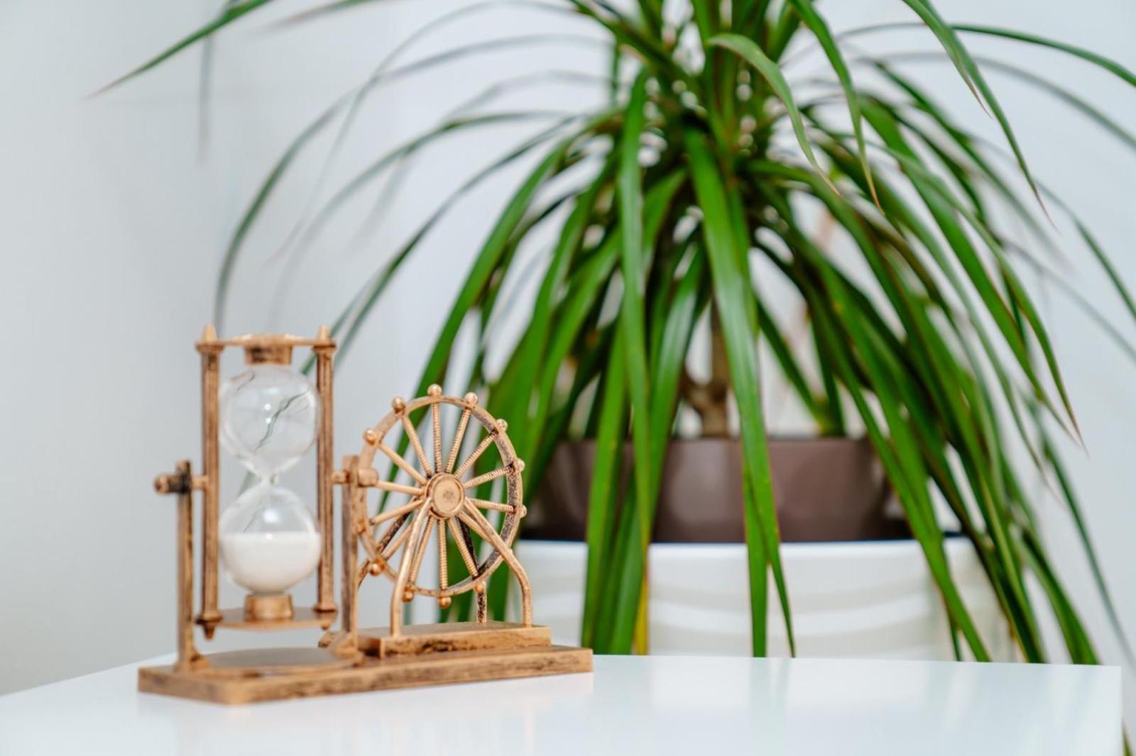 Studio Lounge Apartment ไกรโอวา ภายนอก รูปภาพ